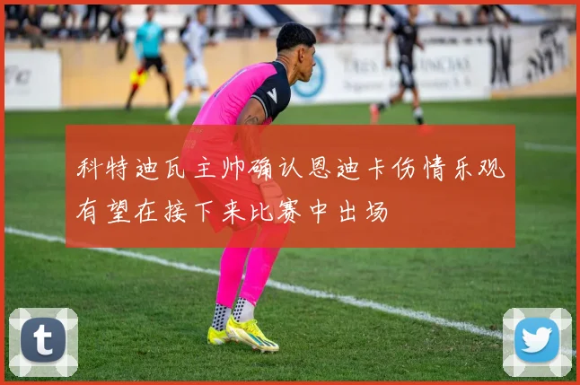 科特迪瓦主帅确认恩迪卡伤情乐观有望在接下来比赛中出场