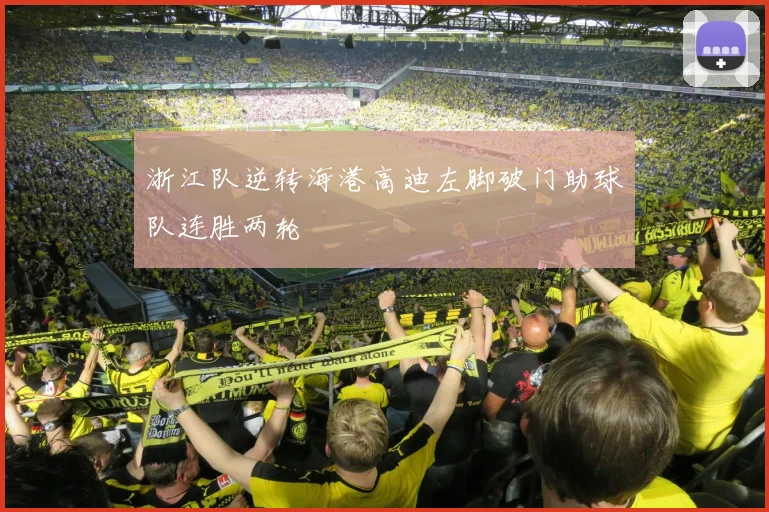 浙江队逆转海港高迪左脚破门助球队连胜两轮